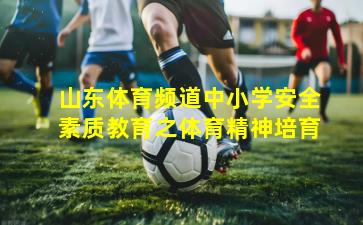 山东体育频道中小学安全素质教育之体育精神培育
