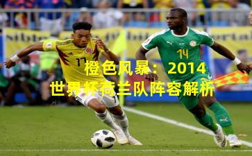 橙色风暴：2014世界杯荷兰队阵容解析