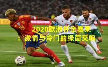 2020欧洲杯全赛果：激情与冷门的绿茵交响