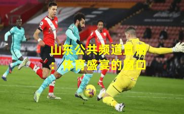 山东公共频道直播：体育盛宴的窗口