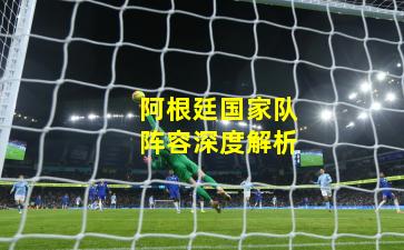 阿根廷国家队阵容深度解析