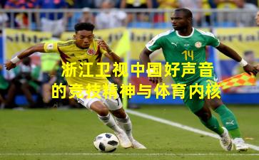 浙江卫视中国好声音的竞技精神与体育内核