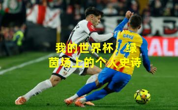 我的世界杯：绿茵场上的个人史诗