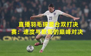  直播羽毛球混合双打决赛：速度与默契的巅峰对决